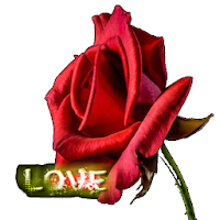 Flowers of love and friendship