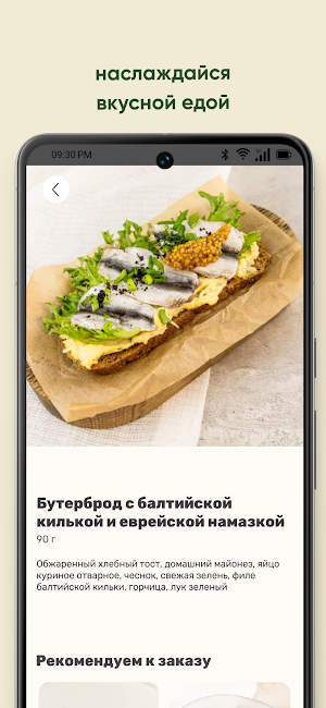 Синичка Screenshot 3