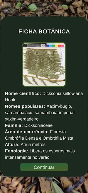 FlorestaSC RA Screenshot 2