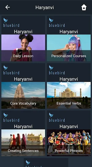 Learn Haryanvi. Speak Haryanvi. Study Haryanvi. Screenshot 0