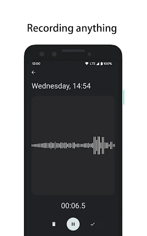 Recorder: Voice Recorder Screenshot 1