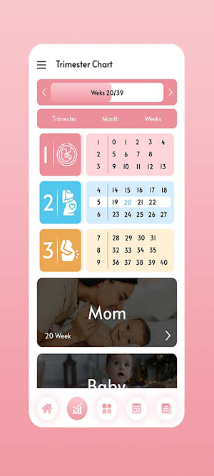 Pregnancy Tracker Screenshot 3