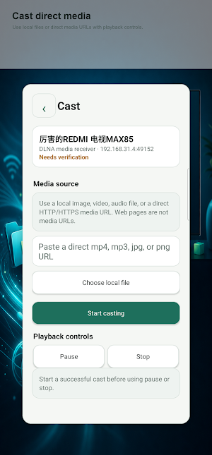 ScreenSail Remote Screenshot 3