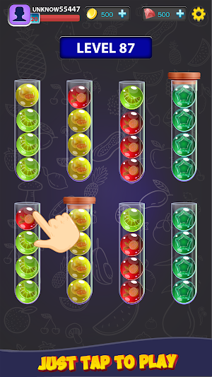 Color Puzzle Ball Sort Games Screenshot 2