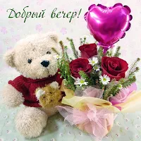 Добрый Вечер