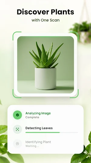 LeafIdentifier: Plant Care Screenshot 3