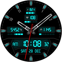 DIGI DARKLON WS105 Watch face