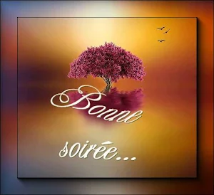 Bonne Soirée Images Screenshot 2