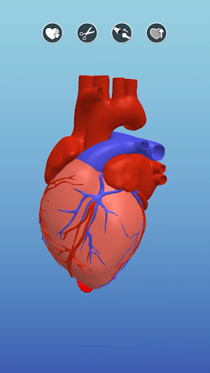 Surgeon 3D Screenshot 0