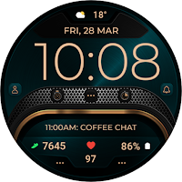 TVV06 Elegant Watch Face