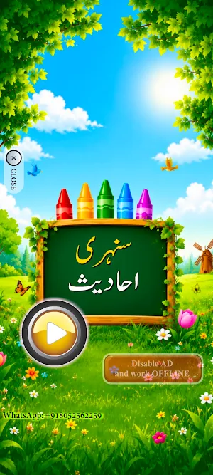 Sunahri Hadis with Audio Screenshot 0