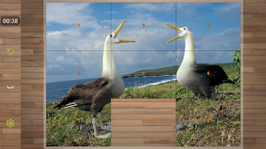 Bird Puzzle Games Screenshot 3