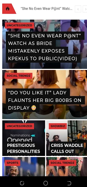 Ghana Celebrity News Portal Screenshot 1
