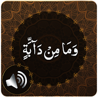 Para 12 Audio