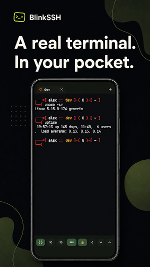 BlinkSSH Screenshot 1