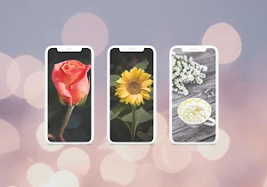 Beautiful Flowers Wallpaper HD Screenshot 0