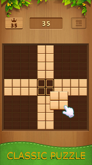 Classic Wood Block Puzzle Game Screenshot 3