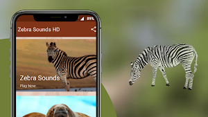 Zebra Sounds Screenshot 1