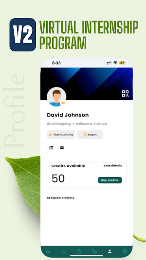Virtual Internship Program Screenshot 2