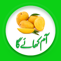 Funny urdu stickers for whatsapp