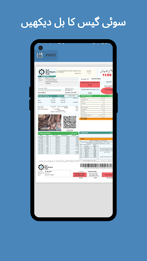 Sui Gas Bill Check Online Screenshot 3