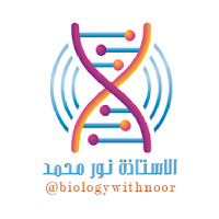 منصة الاستاذه نور محمد