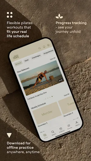 Wild Pilates Screenshot 3