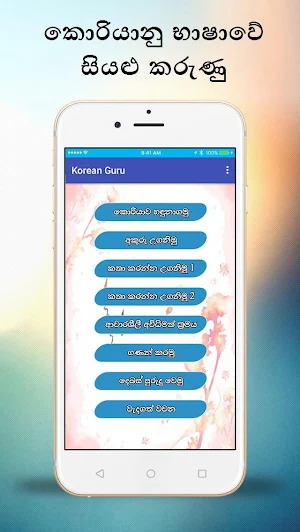 Korean Guru (කොරියානු භාෂාව ඉගෙනගමු) Screenshot 0