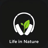 Life In Nature