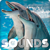 Dolphin Sound Ringtones
