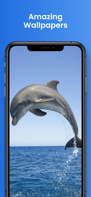 Dolphin Wallpapers 4k HD Screenshot 0