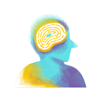 Brain Games: 5-in-1 Collection