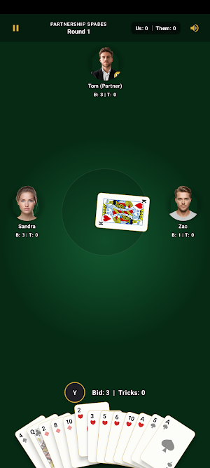 Spades Champion Screenshot 2