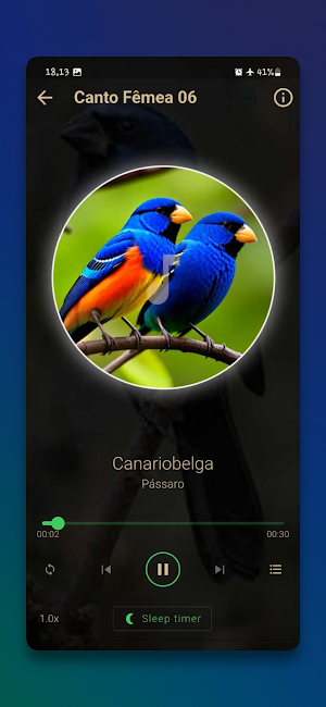 Canto Fêmea de Azulão Screenshot 2
