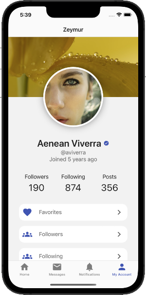 Zeymur Social Template XF Screenshot 2