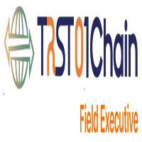 Senghin Field Executive
