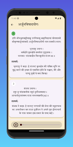 Bhagavad Gita Hindi Audio Screenshot 2