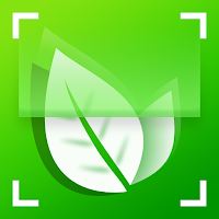 LeafID: AI Plant Identifier