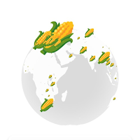 Export Data Globe