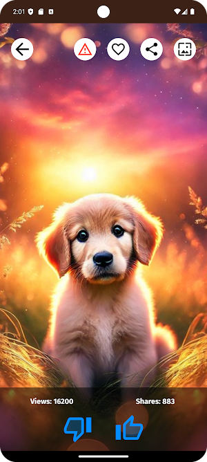 Dogs Wallpapers HD Screenshot 3