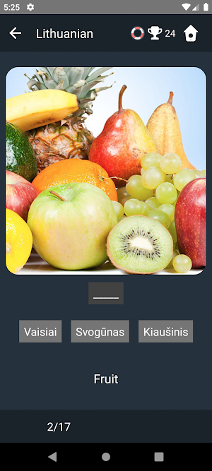 Lithuanian Language Tests Screenshot 3