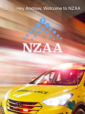 NZAA Screenshot 3