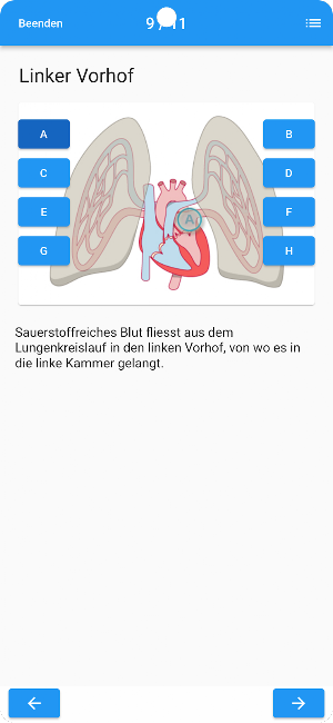 Körperlehre Screenshot 1