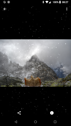 SnowChillin - Snowing in Your Phone Screenshot 2