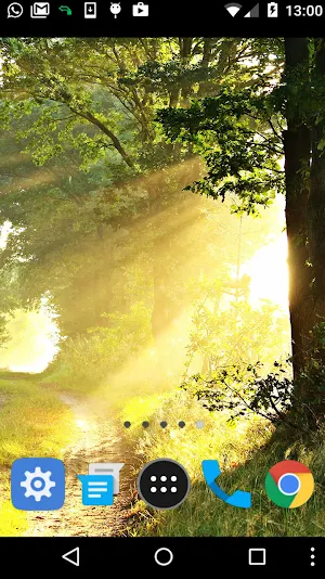 forest nature wallpaper Screenshot 1