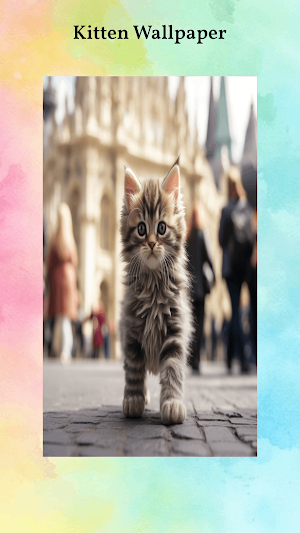 Cute Kitten Wallpapers Screenshot 1