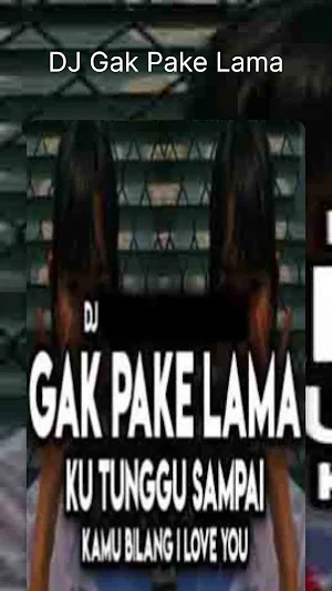 DJ Gak Pake Lama Screenshot 0