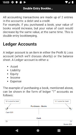 Accounting  Notes Screenshot 1