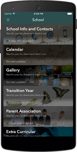 Our Lady's, Terenure Screenshot 2