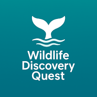 Wildlife Discovery Quest